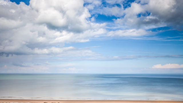 The beach must be empty today. Because they are all here!…lol.